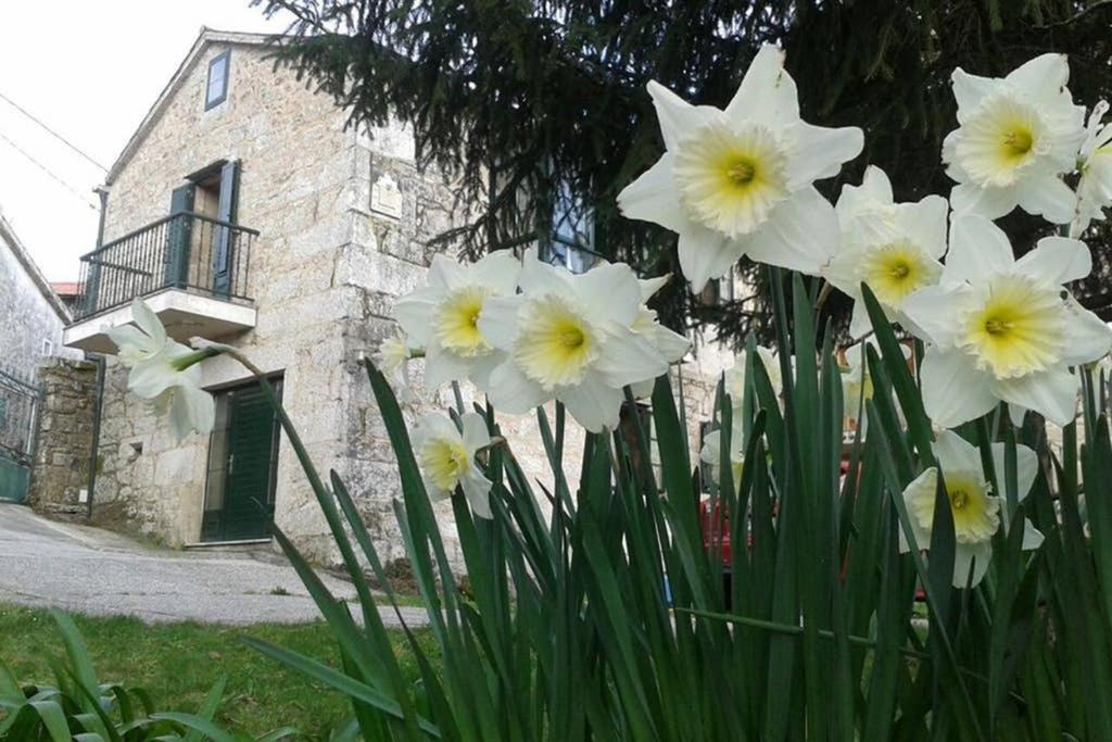 فيلا Casa Da Labaceira Santo Tomé المظهر الخارجي الصورة